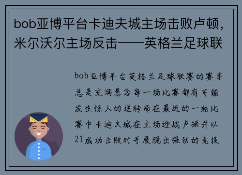 bob亚博平台卡迪夫城主场击败卢顿，米尔沃尔主场反击——英格兰足球联赛的精彩瞬间 - 副本
